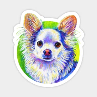 Cute Colorful Chihuahua Magnet