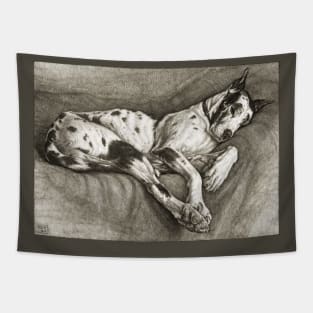 Sleeping Dog Tapestry