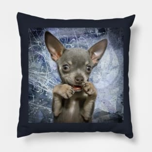 Cheeky Chihuahua Funny Face art design Pillow