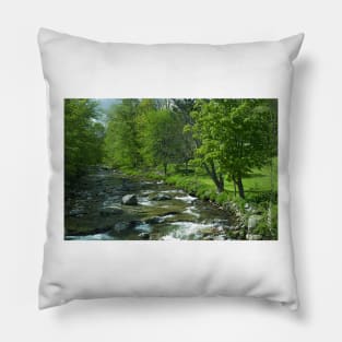 Spring on the Tweed River Pillow