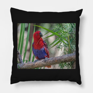 Rosella Pillow