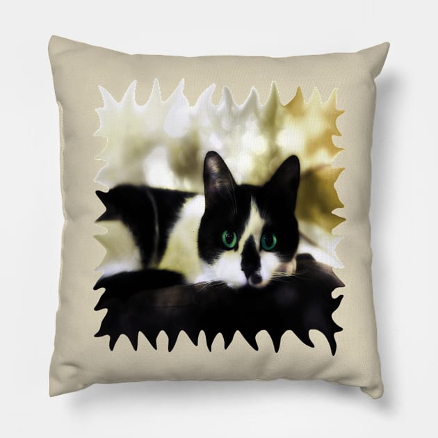 The Tuxedo with the Green Cat Eyes Pillow by distortionart