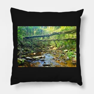 Riverbed Mountain Stream Pillow