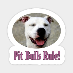 Pit Bulls Rule! Magnet