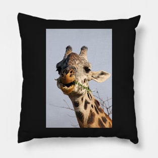 Maasai or Masai, Giraffe, Serengeti, Tanzania Pillow