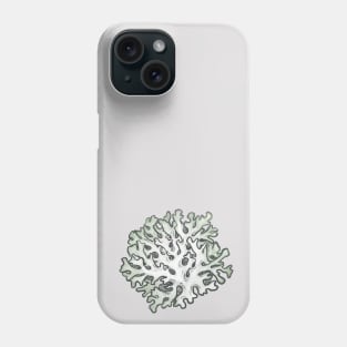 Lichen 2 Phone Case