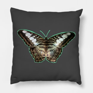 Butterfly Pillow