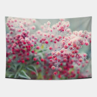 Frosted Winter Berries Tapestry