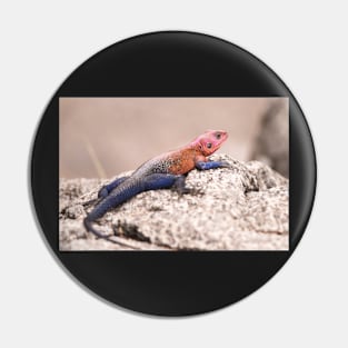 Colourful Lizard in the Serengeti Pin