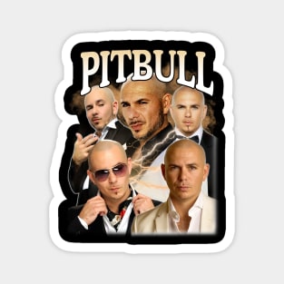 Retro Pitbull Mr World Magnet