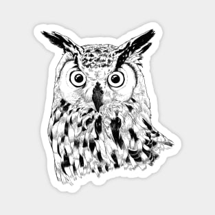 The Owl Knows Magnet