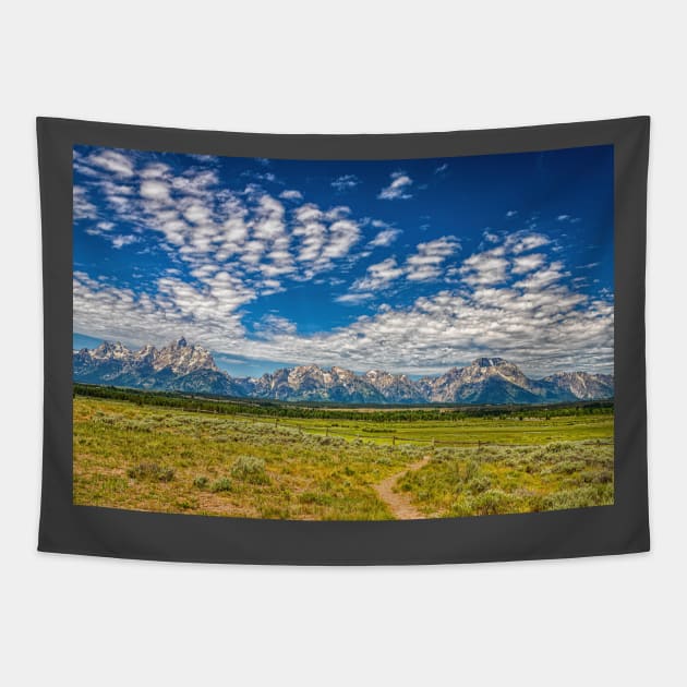 05281  Teton Mountain Range Tapestry by Gestalt Imagery