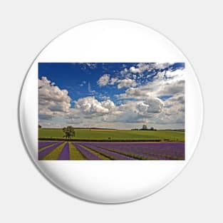 Lavender Field Purple Flowers Cotswolds England Pin