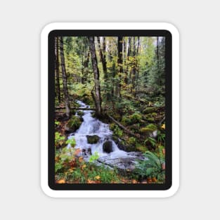 PNW Stream Magnet