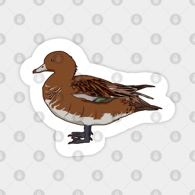 Drawing of a Eurasian wigeon Magnet by Modern Medieval Design