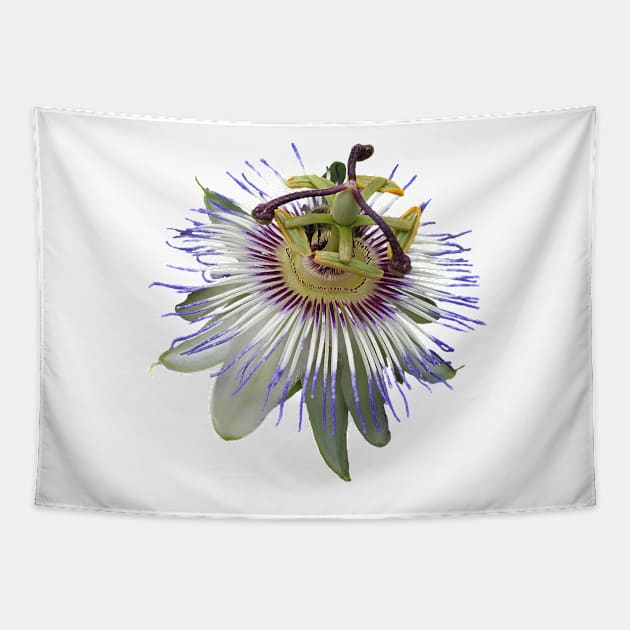 Passion Flower Close Up Tapestry by DesignMore21