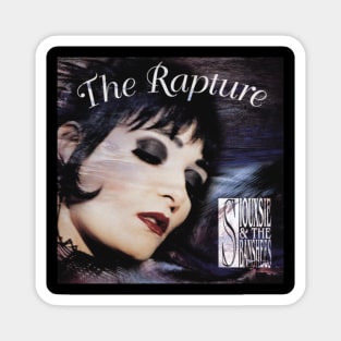 Siouxsie and the Banshees Vocal Haunts Magnet