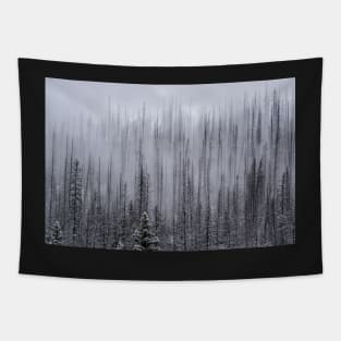 Eerie Tapestry