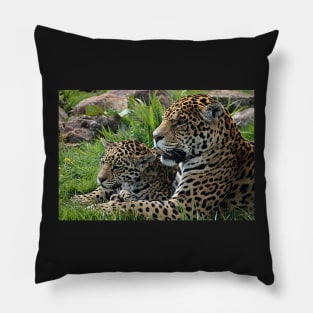 Father and Son Pillow