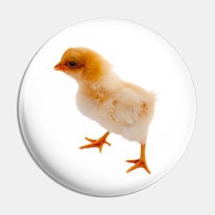 Cute Chick Pin