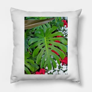 Waikiki Split Leaf Pillow