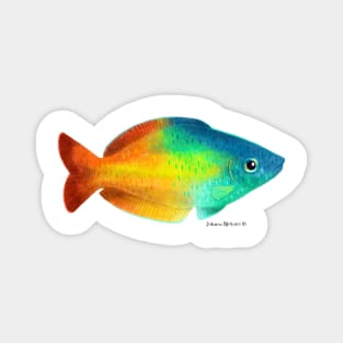 Rainbowfish Magnet