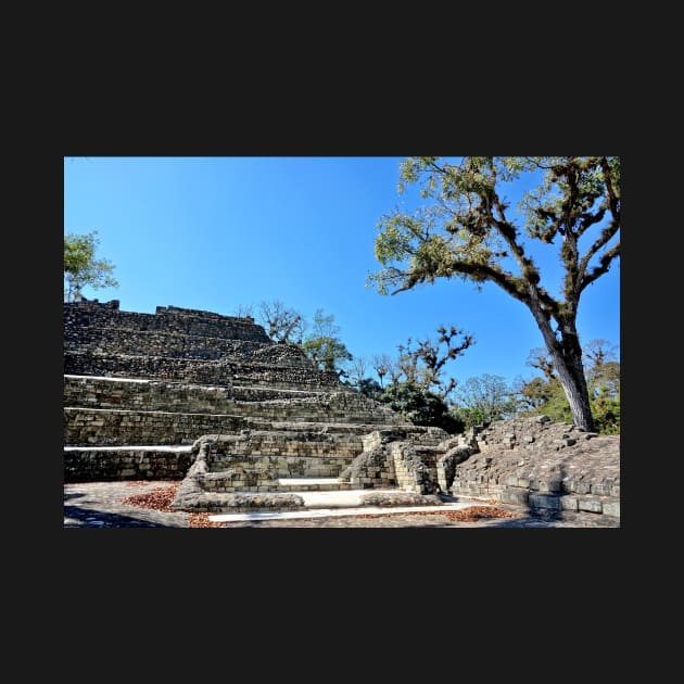 Honduras - Site archéologique de Copán Ruinas by franck380