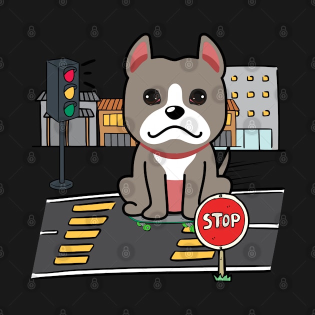 Cute grey dog is skate boarding on the street by Pet Station