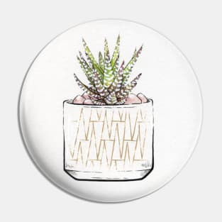 Zebra Plant Succulent Pin