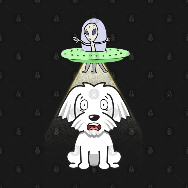 Cute white dog is abducted by aliens by Pet Station