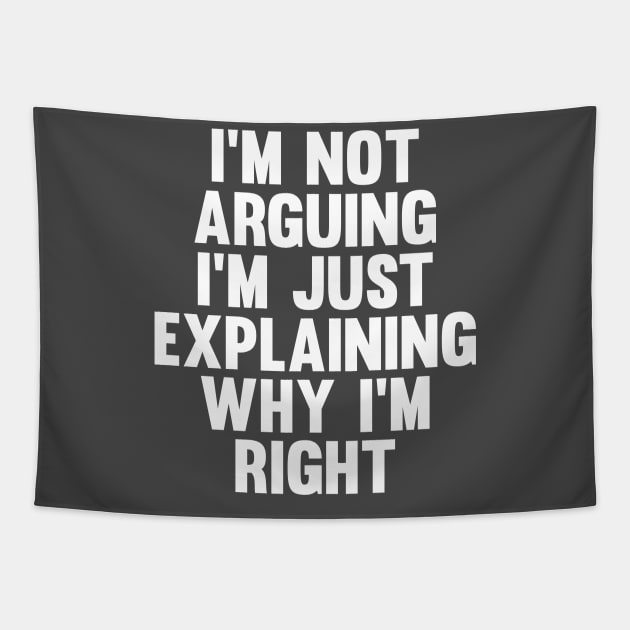 Not Arguing I'm Just Explaining Why I'm Right Novelty Tapestry by Choicetee