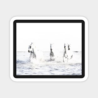 Wild Horses, White horses, Horse print, Horse art, Wall art, Wall decor, Trendy print, Animal print, Interior Magnet