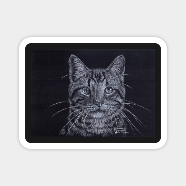 American Shorthair Magnet by VeriArt