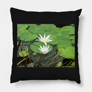 Blue Nile Waterlilies Pillow