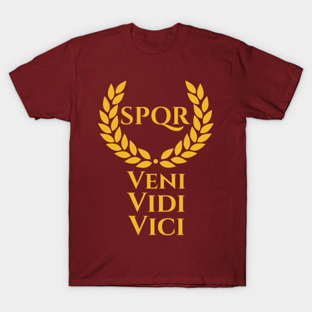 veni vidi vici t shirt