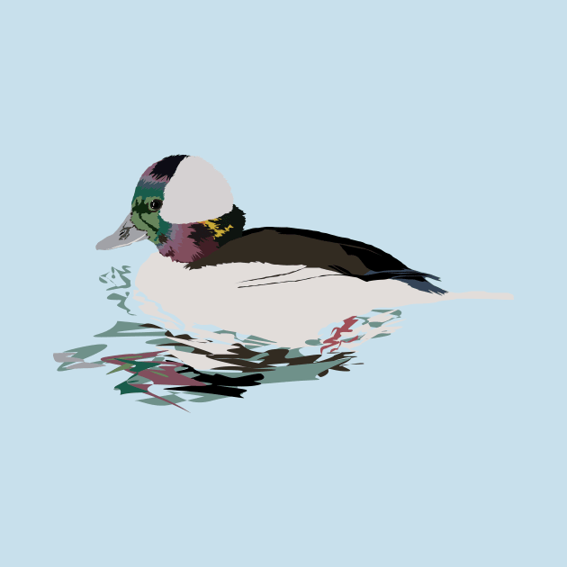 Bufflehead (Male) by stargatedalek