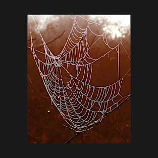 Arachnid branches close up cobweb T-Shirt