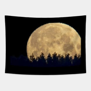 Pixel moonlight forest Tapestry