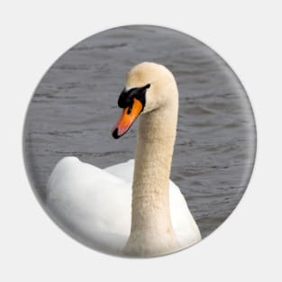 Mute Swan in the Harbor Pin