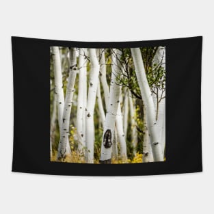 Beautiful pictures - Apen Trees Tapestry