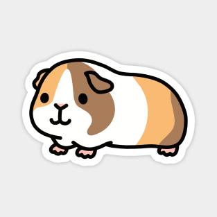 Guinea Pig Magnet