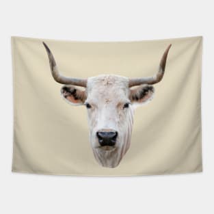 Striking head of a White Park Cow Tapestry