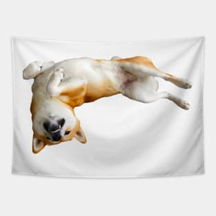 Lilly the Shiba Inu Belly Rub Tapestry