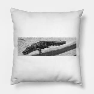 Chilling Alligator black and white Pillow