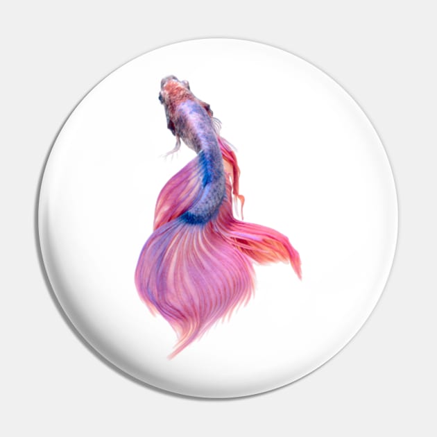 Beautiful Fighting Fish Pin by lavprints