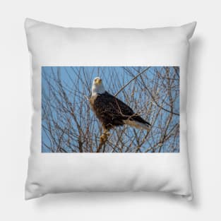 Branched Eagle Profiile Pillow