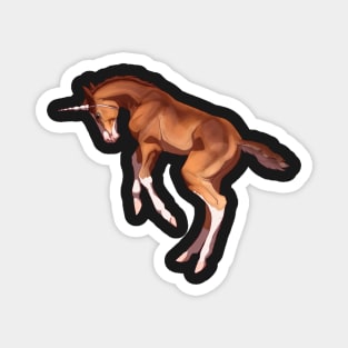 Jumpy Foal Magnet