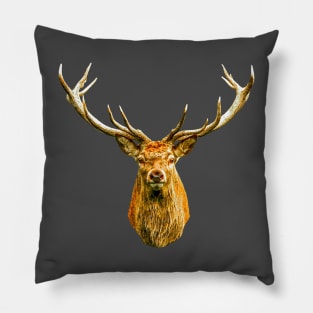 Red Deer Stag Pillow