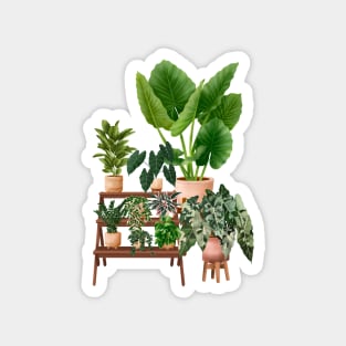 House plants collection 40.4 Magnet