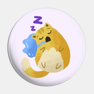 Sleeping cat Pin